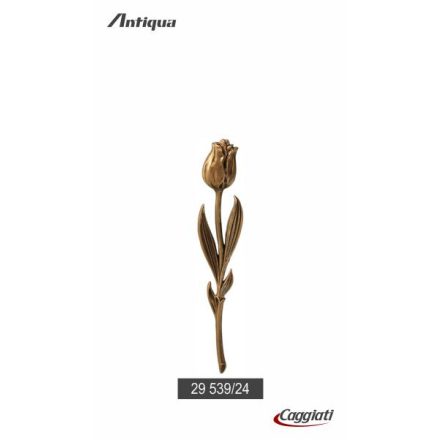 Tulipán 24x5 cm 